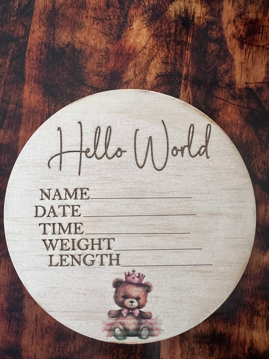 Hello World teddy princess