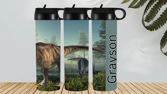 DINOSAURS T - REX HYDRO DRINK BOTTLE DRINK BOTTLE