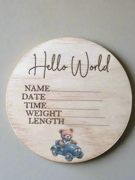 Hello World  teddy in a blue car